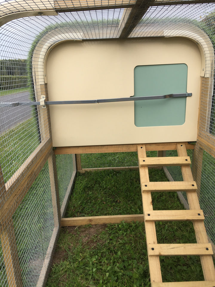 chicken coop, run and ladder