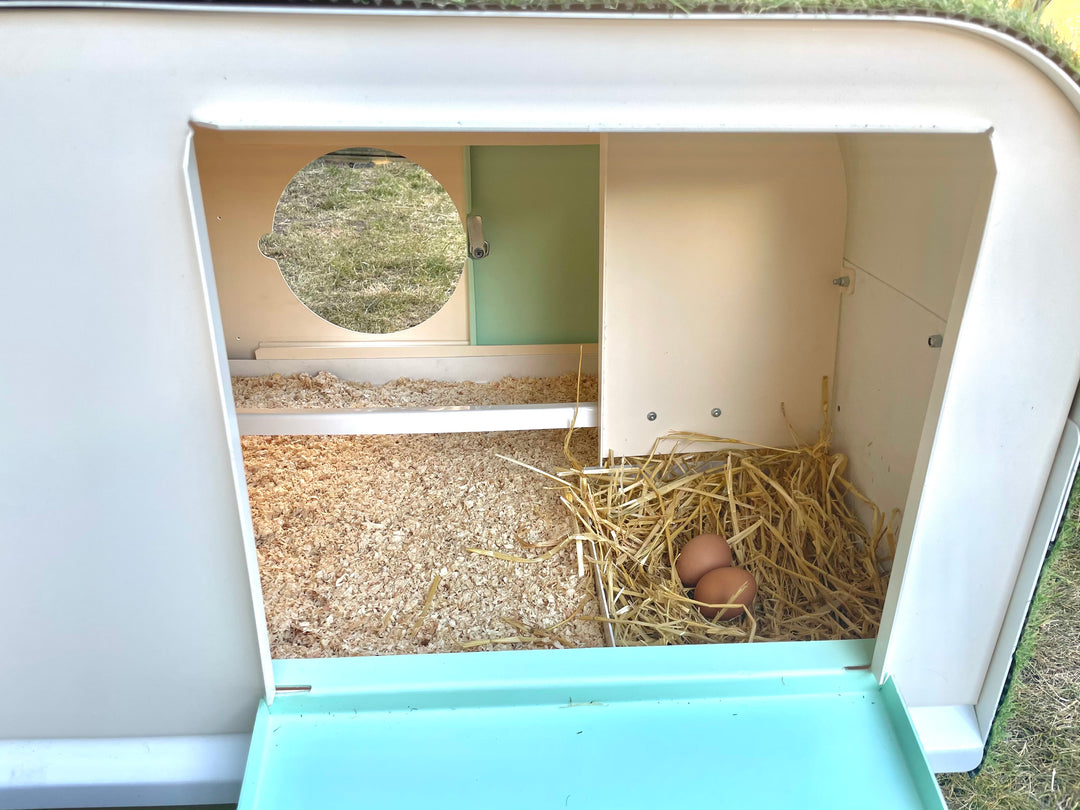 Large Chicken Coop  Nesting Box