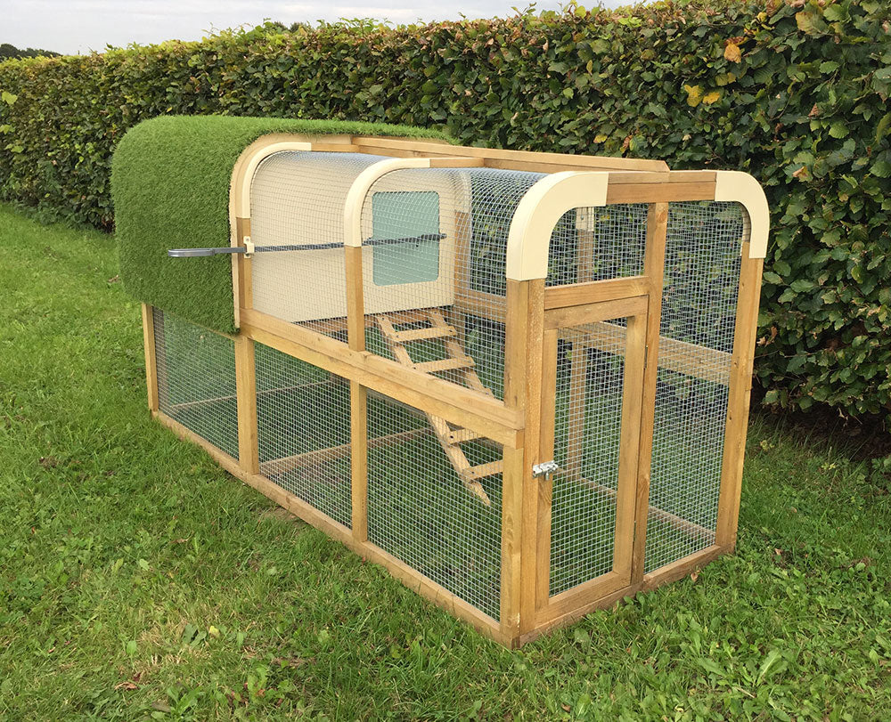 Large Chicken Coop and Run8