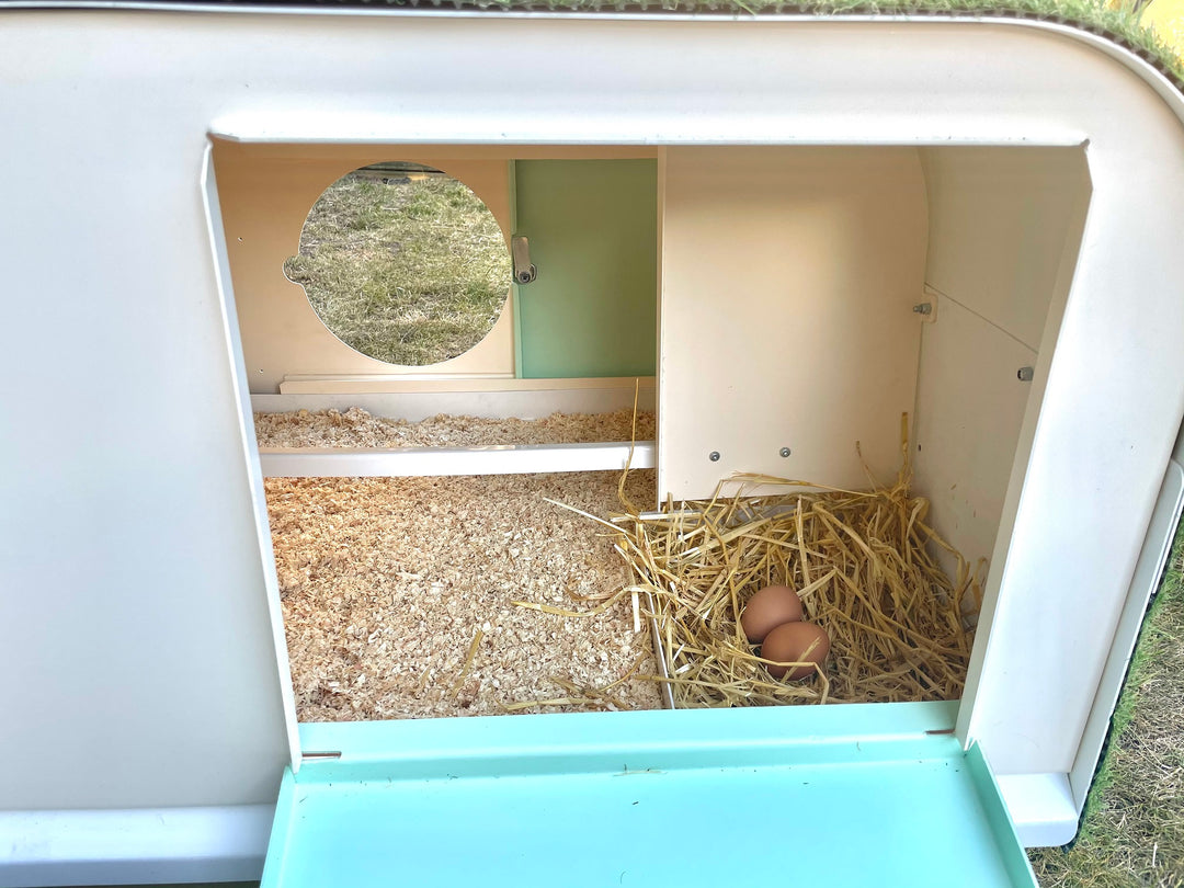 Standard Chicken Coop (Up to 4 large chickens)