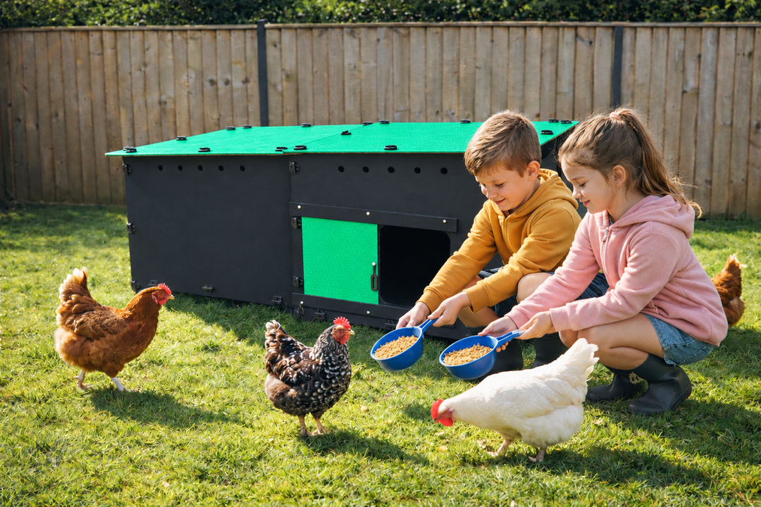 Understanding and Managing Red Mites in Chickens