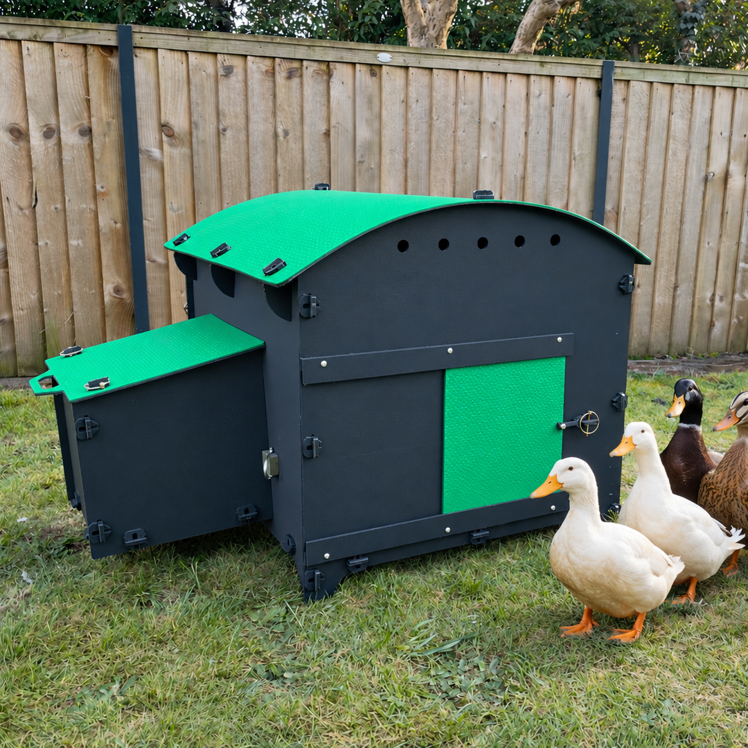 A Guide to Duck Coops: What to Look For and the Benefits of a Plastic Coop