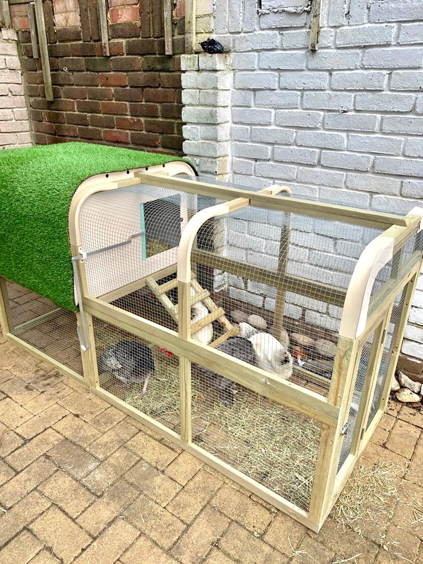 Large Chickens Coop