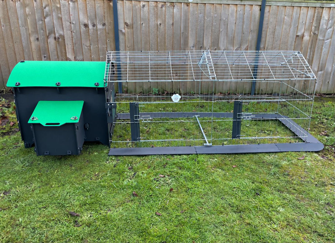 Black Standard Chicken Coop with 6 foot run (Up to 4 large chickens)